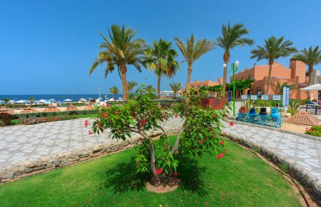 Photo for Marsa Alam, Egypt - May 11, 2023: Beautiful gardens of the Akassia Swiss Resort by the Red Sea in Marsa Alam, Egypt. - Royalty Free Image