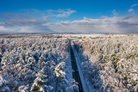 Téléchargez les photos : Paysage aérien de la route à travers la forêt enneigée en hiver, Pologne. - en image libre de droit