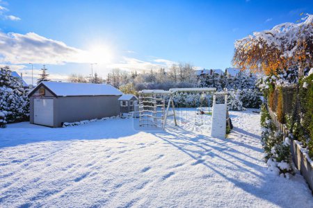 Téléchargez les photos : Beau jardin d'hiver couvert de neige. Pologne - en image libre de droit