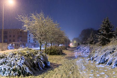 Téléchargez les photos : De fortes chutes de neige pendant la nuit en Pologne - en image libre de droit