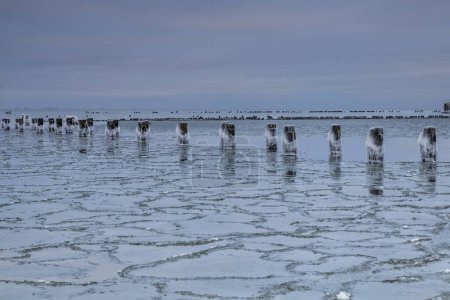 Téléchargez les photos : Plage gelée de la mer Baltique à Babie Doly au coucher du soleil, Gdynia. Pologne - en image libre de droit