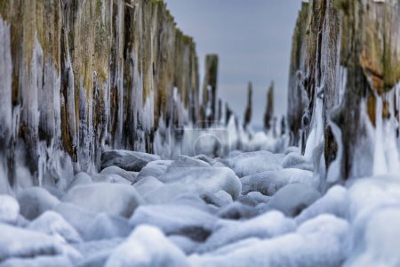 Photo for Frozen Baltic Sea beach in Babie Doly at sunset, Gdynia. Poland - Royalty Free Image