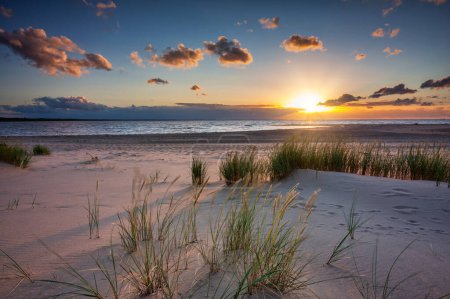 Téléchargez les photos : Beautiful sunset on the beach of the Sobieszewo Island at the Baltic Sea. Poland - en image libre de droit