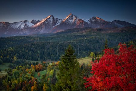 Beautiful autumn with a red tree under the Tatra Mountains at sunrise. Slovakia