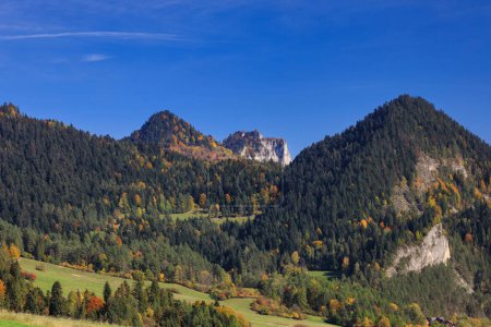 Autumn landscape of the Pieniny Mountains with the Three Crowns  peak. Poland