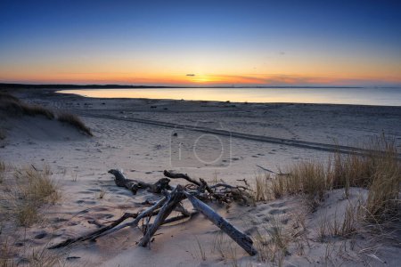 Téléchargez les photos : Un beau coucher de soleil sur la plage de l'île Sobieszewo à la mer Baltique au printemps. Pologne - en image libre de droit