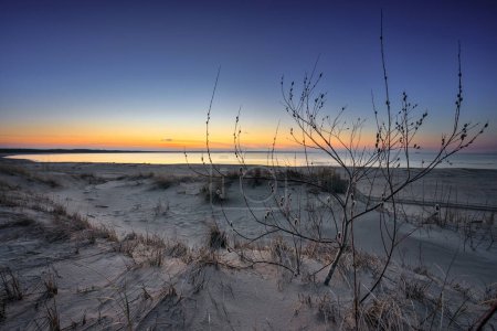 Téléchargez les photos : Un beau coucher de soleil sur la plage de l'île Sobieszewo à la mer Baltique au printemps. Pologne - en image libre de droit
