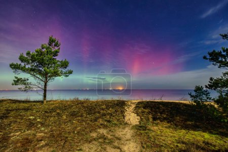 Foto de Luces boreales sobre la playa del Mar Báltico en Gdansk Sobieszewo con un solo pino, Polonia. - Imagen libre de derechos