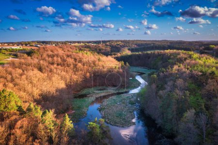 Téléchargez les photos : Paysage printanier de la forêt et rivière Radunia tordue dans la Kashubia. Pologne - en image libre de droit