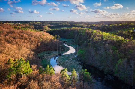Spring landscape of the forest and twisted Radunia river in Kashubia. Poland