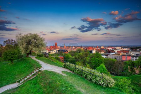 Photo for Beautiful blooming tree and the Main City of Gdansk at spring sunset, Poland - Royalty Free Image