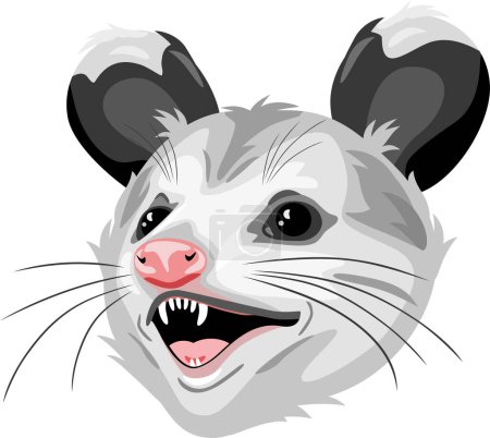Photo for Opossum head isolated on white - Royalty Free Image