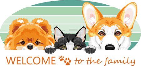 Photo for Welcome to the dog and cat family - Royalty Free Image