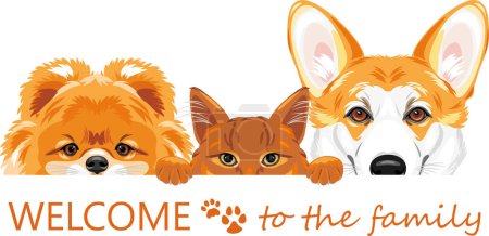 Photo for Welcome to the dog and cat ginger family - Royalty Free Image