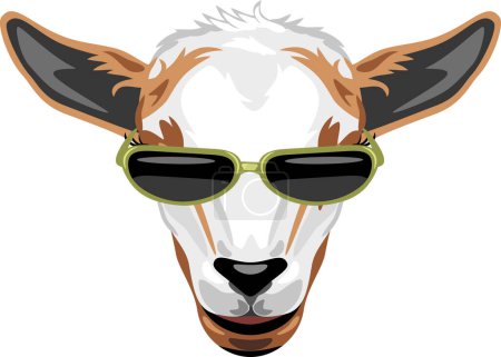 Photo for Portrait of a goat with sunglasses - Royalty Free Image