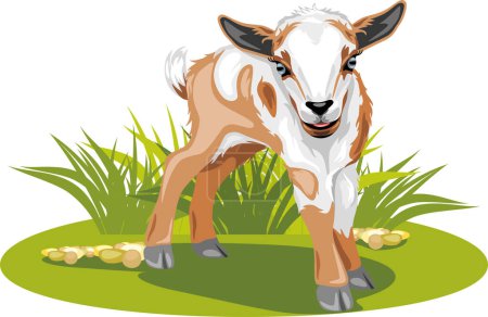 Photo for Cute baby goat on the lawn - Royalty Free Image