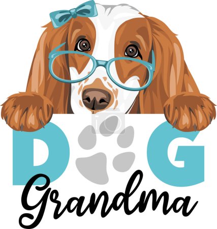Photo for Funny peeking Cocker Spaniel dog grandma with accessories - Royalty Free Image