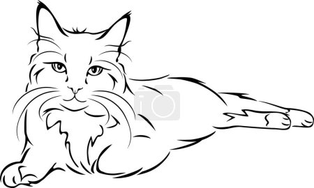 Photo for Outlined portrait of a lying cat - Royalty Free Image