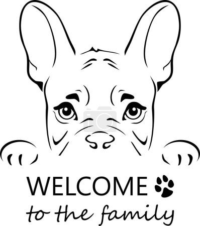 Photo for Outlined portrait of a peeking french bulldog. Welcome to the family - Royalty Free Image