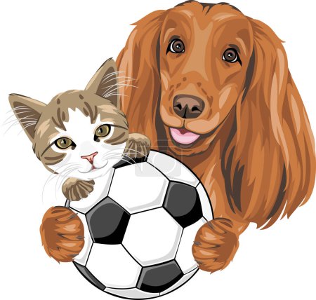 Photo for Cute pets football players - Royalty Free Image