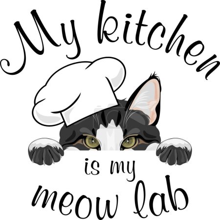 Photo for My kitchen is my meow lab - Royalty Free Image