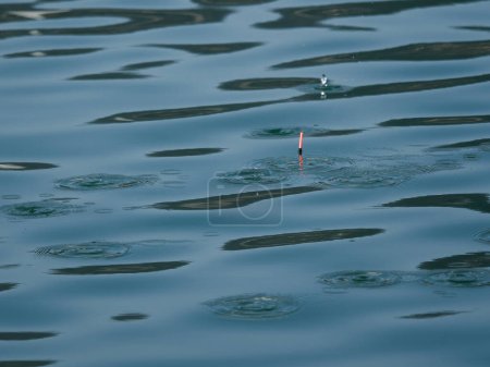 Flotador de pesca en el agua