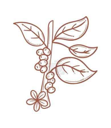 Ilustración de Planta de café con semillas estilo garabato - Imagen libre de derechos