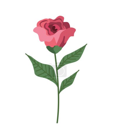 Téléchargez les illustrations : Rose rouge fleur jardin nature icône - en licence libre de droit