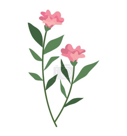 Illustration for Two flowers garden nature icon - Royalty Free Image