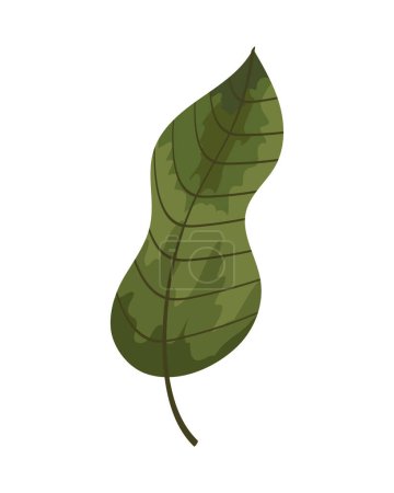 Ilustración de Green leaf plant foliage nature icon - Imagen libre de derechos
