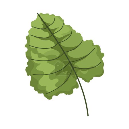 Ilustración de Hoja planta follaje naturaleza icono - Imagen libre de derechos