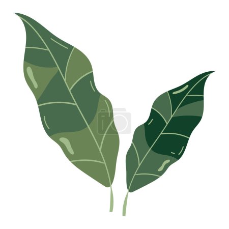 Ilustración de Hojas follaje vegetal naturaleza icono - Imagen libre de derechos