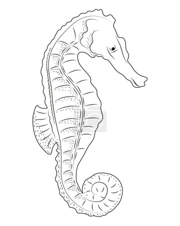 Téléchargez les illustrations : Hippocampe sealife croquis icône de style - en licence libre de droit
