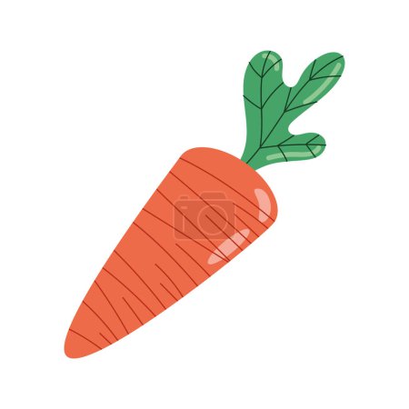 Ilustración de Zanahoria fresca vegetales alimentos saludables - Imagen libre de derechos
