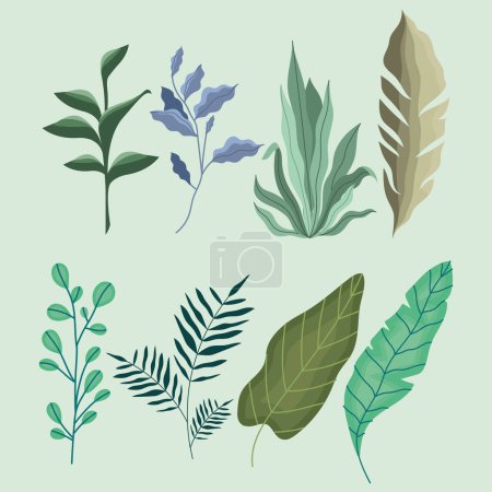 Illustration for Eight plants garden nature icons icons - Royalty Free Image