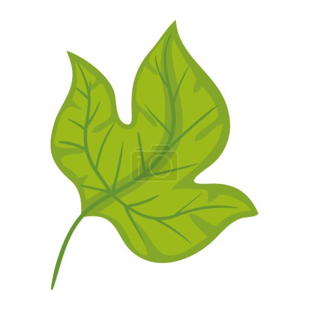 Illustration for Green leaf plant foliage nature icon - Royalty Free Image