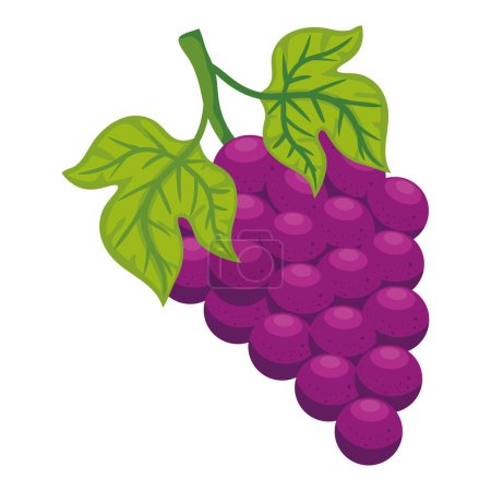 Téléchargez les illustrations : Raisins fruits frais icône saine - en licence libre de droit