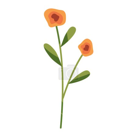 Ilustración de Flores naranja jardín decoración naturaleza - Imagen libre de derechos