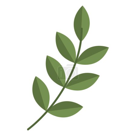 Illustration for Green branch with leafs foliage - Royalty Free Image