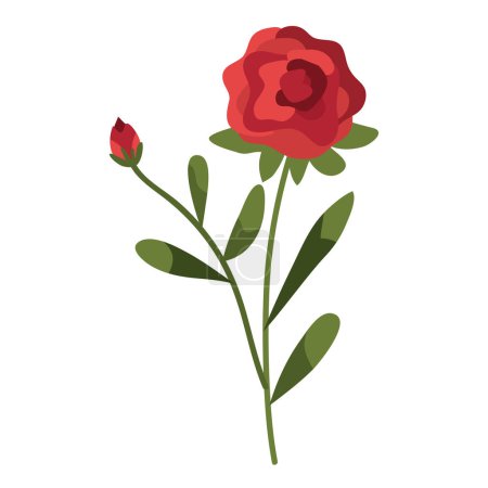 Illustration for Rose flower garden decoration nature - Royalty Free Image