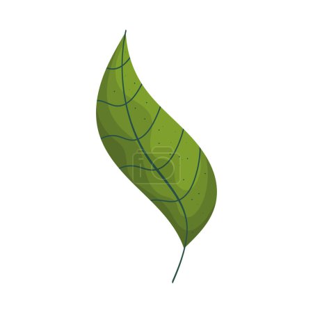 Illustration for Green leave plant foliage icon - Royalty Free Image