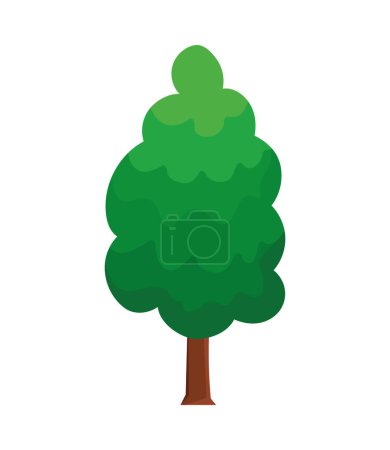Illustration for Pine tree plant forest nature icon - Royalty Free Image