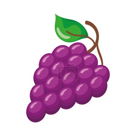 Téléchargez les illustrations : Fresh grapes fruit healthy icon - en licence libre de droit