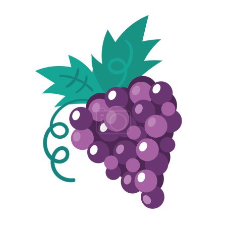 Téléchargez les illustrations : Raisins fruits frais icône saine - en licence libre de droit