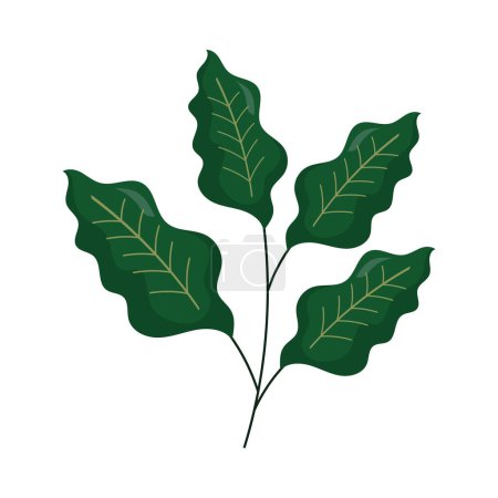Ilustración de Green branch with leafs foliage icon - Imagen libre de derechos