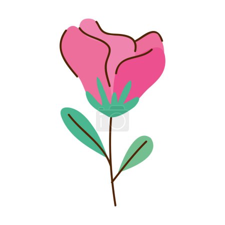 Téléchargez les illustrations : Fucshia rose flower spring icon - en licence libre de droit