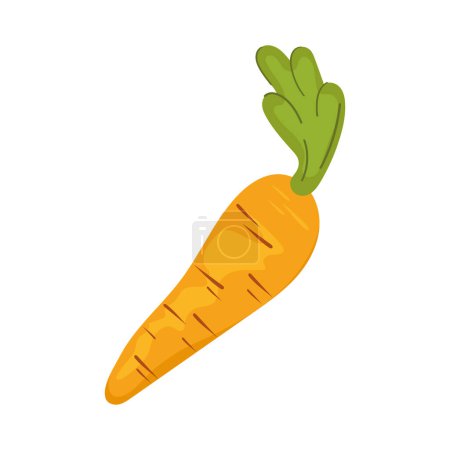 Ilustración de Zanahoria fresca vegetales alimentos saludables - Imagen libre de derechos