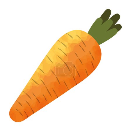 Illustration for Fresh carrot vegetable healthy food - Royalty Free Image