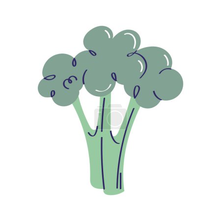 Téléchargez les illustrations : Brocoli frais légumes aliments sains - en licence libre de droit