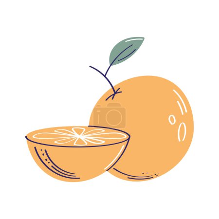 Illustration for Fresh oranges fruits healthy icon - Royalty Free Image